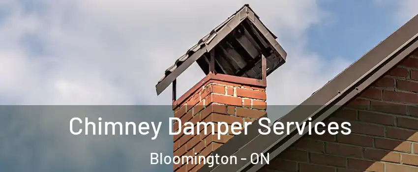  Chimney Damper Services Bloomington - ON