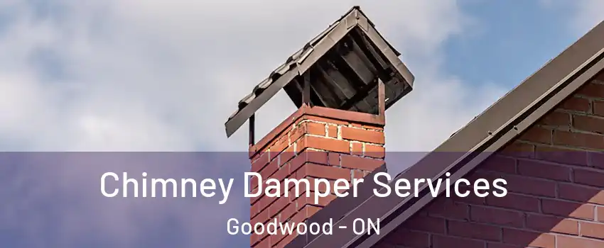  Chimney Damper Services Goodwood - ON