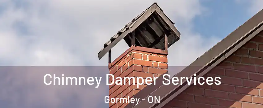  Chimney Damper Services Gormley - ON