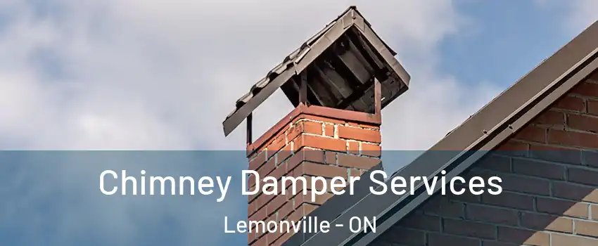  Chimney Damper Services Lemonville - ON