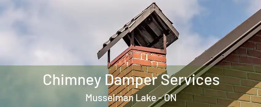  Chimney Damper Services Musselman Lake - ON
