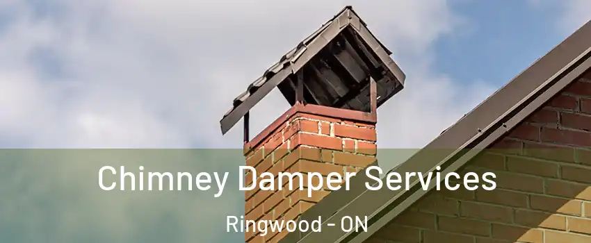 Chimney Damper Services Ringwood - ON