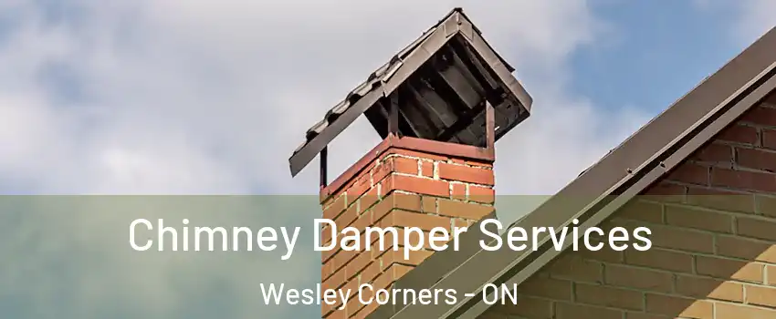  Chimney Damper Services Wesley Corners - ON