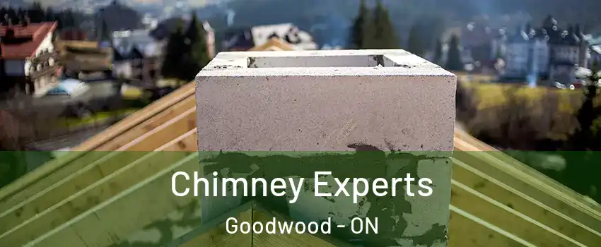 Chimney Experts Goodwood - ON