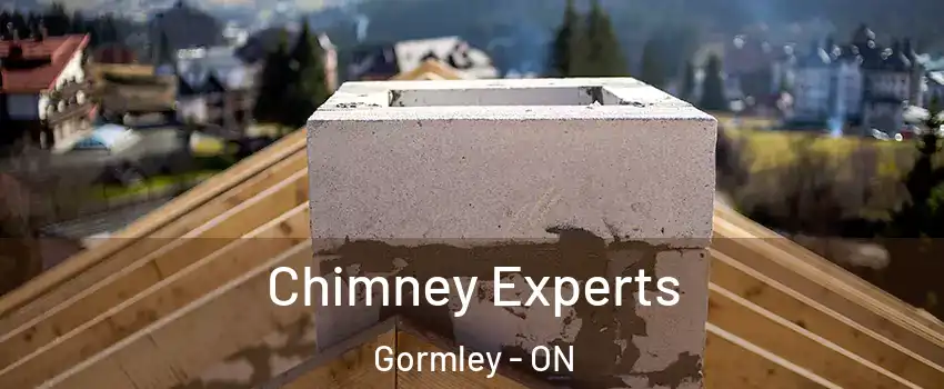 Chimney Experts Gormley - ON