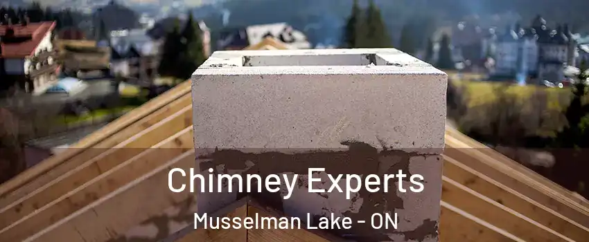 Chimney Experts Musselman Lake - ON