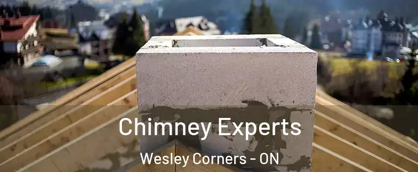 Chimney Experts Wesley Corners - ON