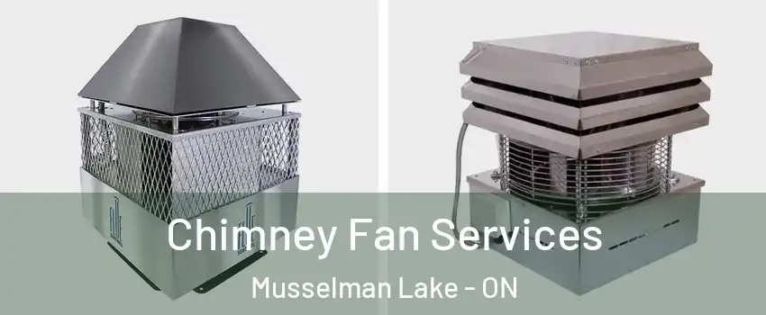  Chimney Fan Services Musselman Lake - ON