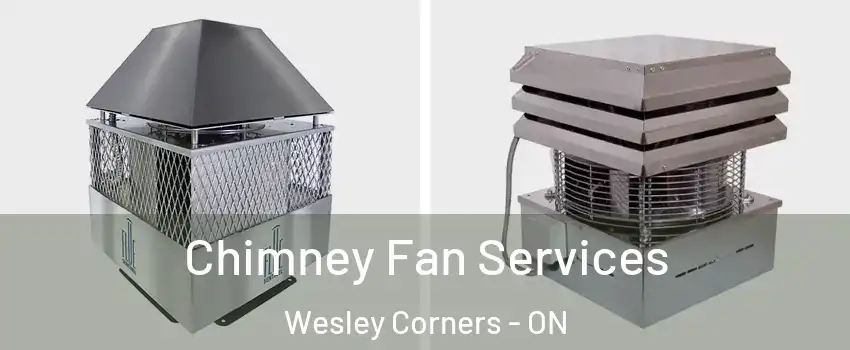  Chimney Fan Services Wesley Corners - ON