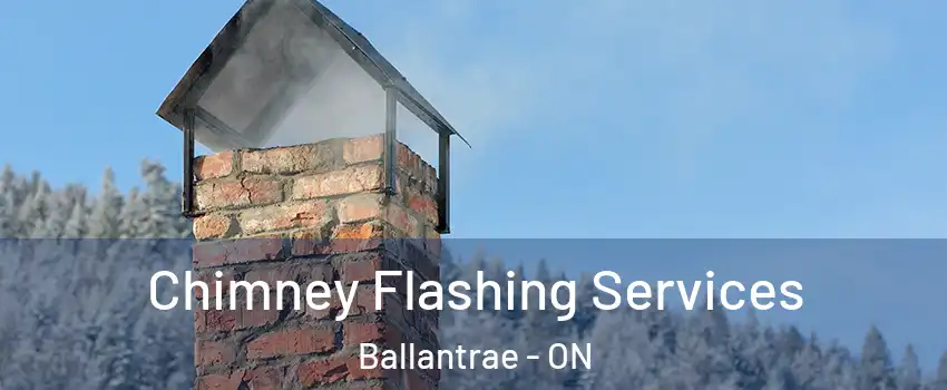 Chimney Flashing Services Ballantrae - ON