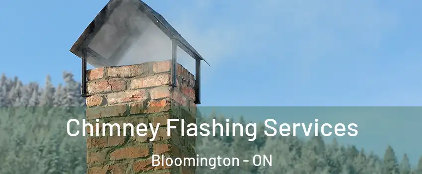  Chimney Flashing Services Bloomington - ON
