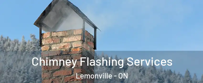 Chimney Flashing Services Lemonville - ON