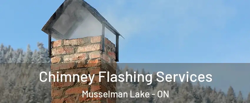 Chimney Flashing Services Musselman Lake - ON