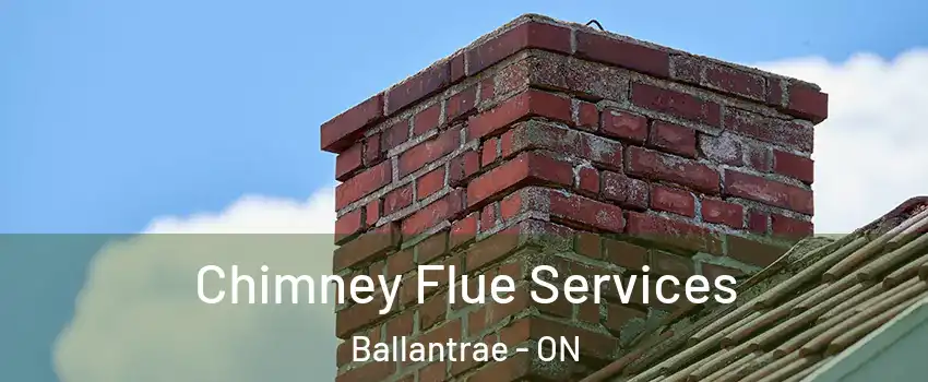  Chimney Flue Services Ballantrae - ON