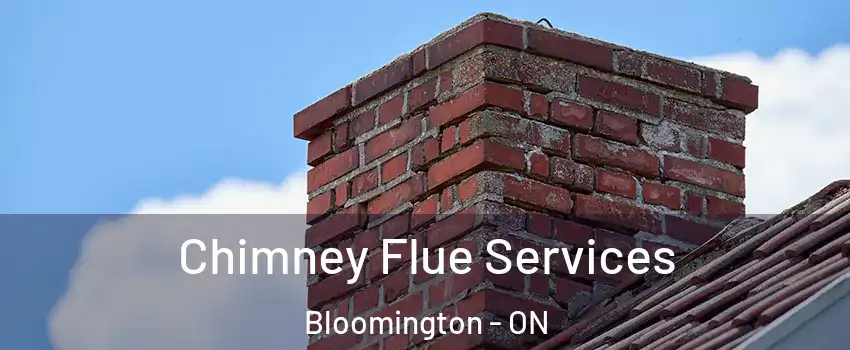 Chimney Flue Services Bloomington - ON