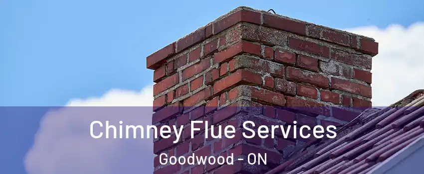  Chimney Flue Services Goodwood - ON