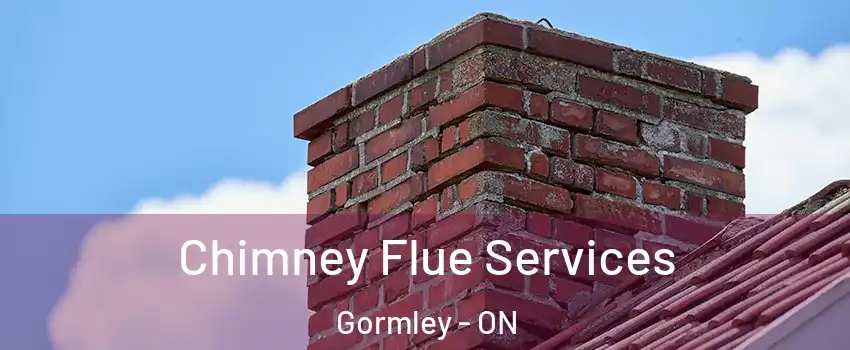  Chimney Flue Services Gormley - ON