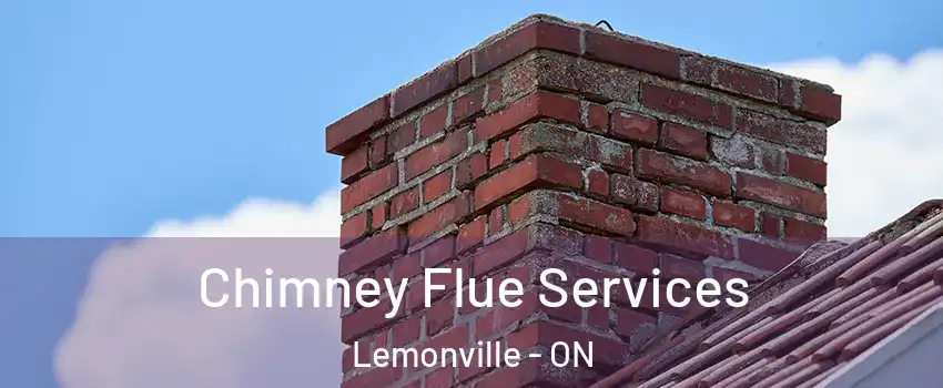  Chimney Flue Services Lemonville - ON