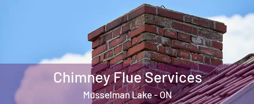  Chimney Flue Services Musselman Lake - ON