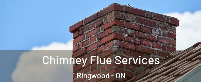  Chimney Flue Services Ringwood - ON
