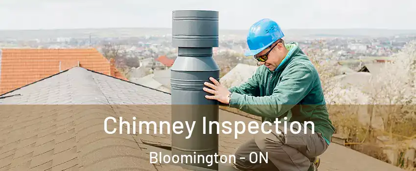  Chimney Inspection Bloomington - ON