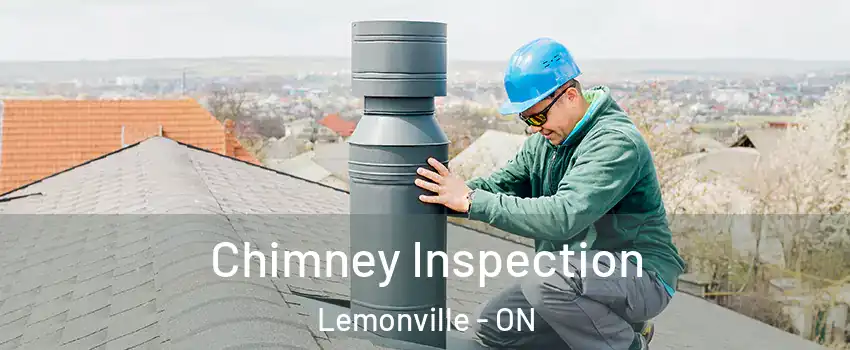  Chimney Inspection Lemonville - ON