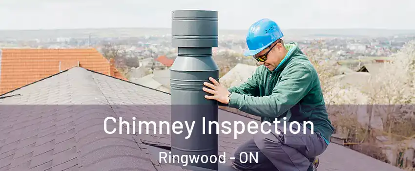  Chimney Inspection Ringwood - ON