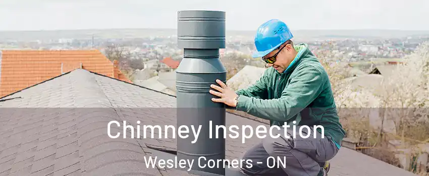  Chimney Inspection Wesley Corners - ON