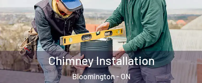  Chimney Installation Bloomington - ON