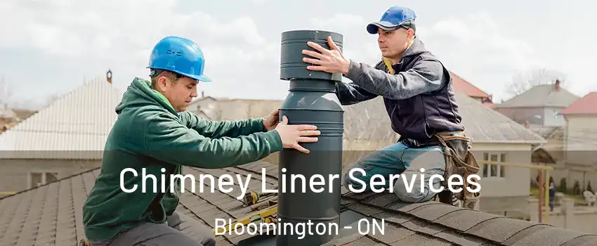  Chimney Liner Services Bloomington - ON