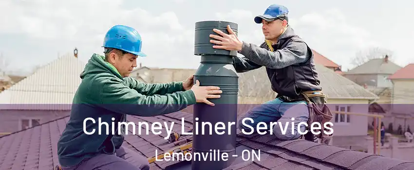  Chimney Liner Services Lemonville - ON