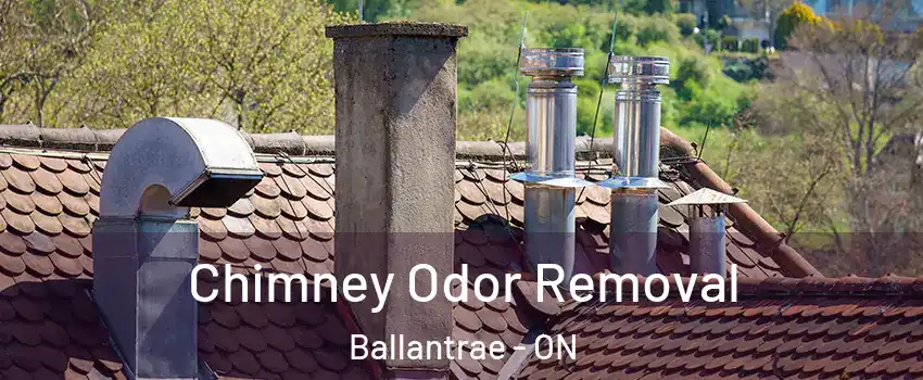  Chimney Odor Removal Ballantrae - ON
