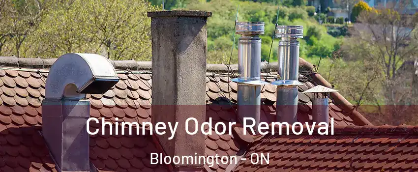  Chimney Odor Removal Bloomington - ON