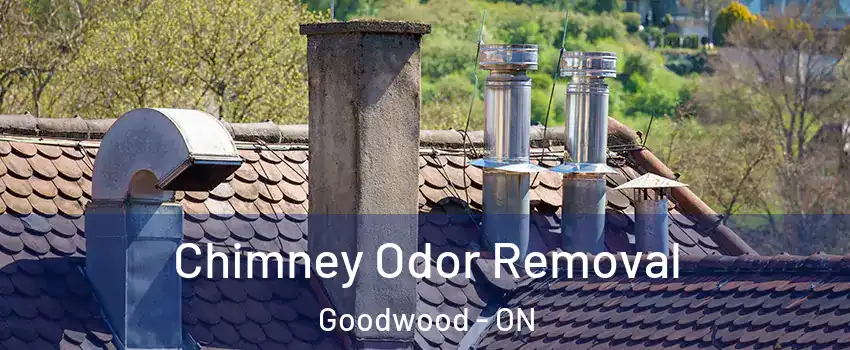  Chimney Odor Removal Goodwood - ON