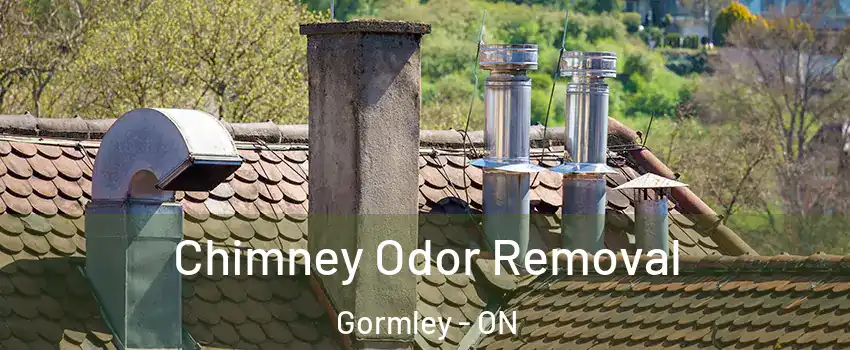  Chimney Odor Removal Gormley - ON