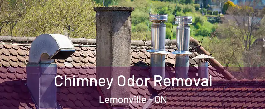 Chimney Odor Removal Lemonville - ON