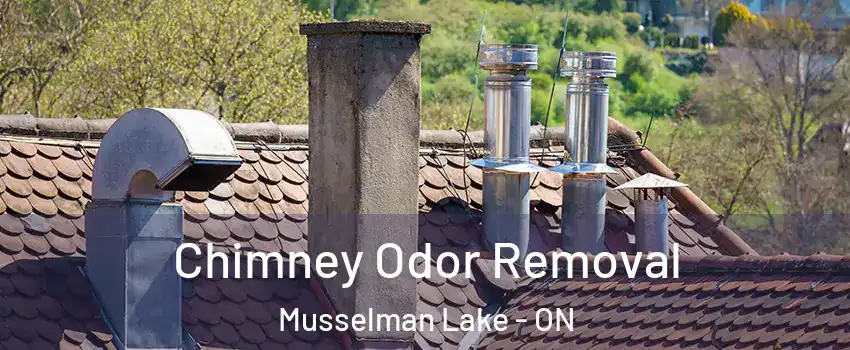  Chimney Odor Removal Musselman Lake - ON