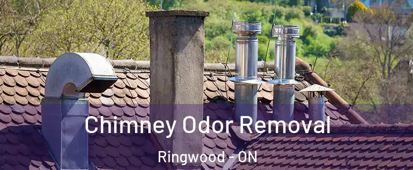  Chimney Odor Removal Ringwood - ON