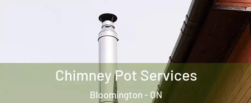  Chimney Pot Services Bloomington - ON
