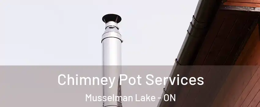  Chimney Pot Services Musselman Lake - ON