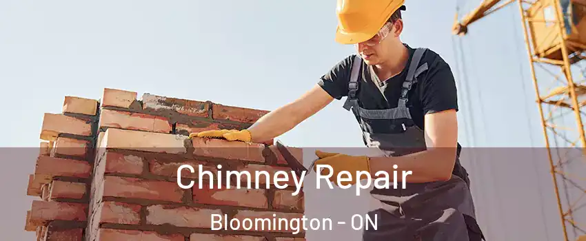  Chimney Repair Bloomington - ON