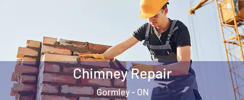  Chimney Repair Gormley - ON