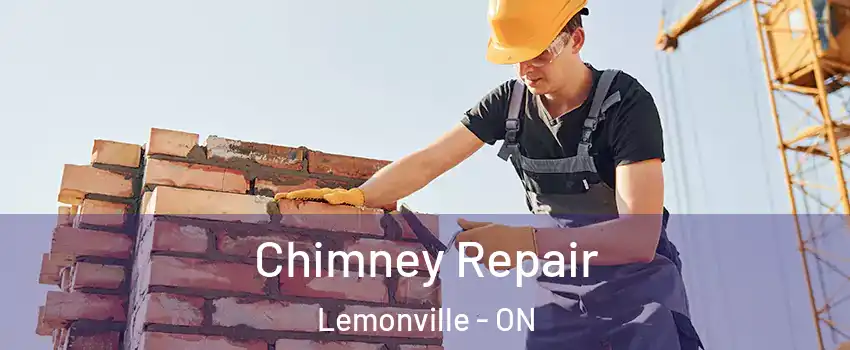  Chimney Repair Lemonville - ON