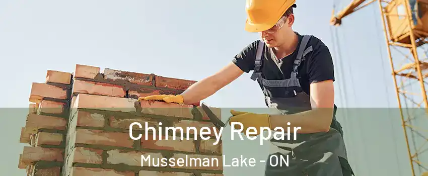  Chimney Repair Musselman Lake - ON