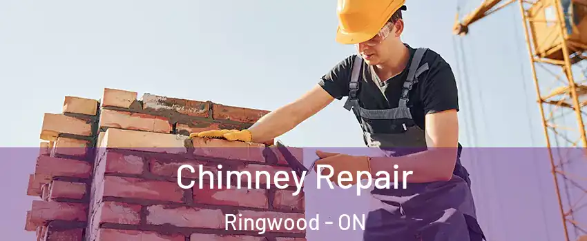  Chimney Repair Ringwood - ON