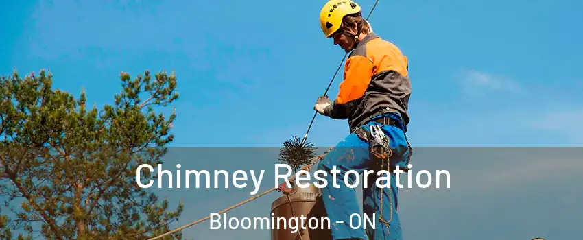  Chimney Restoration Bloomington - ON