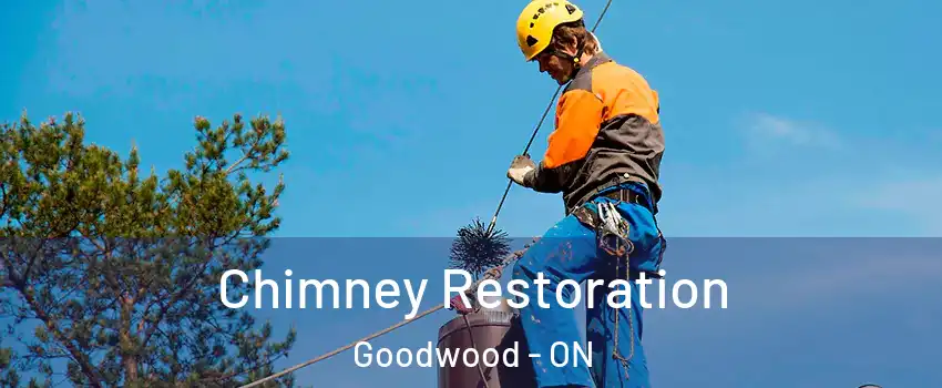  Chimney Restoration Goodwood - ON