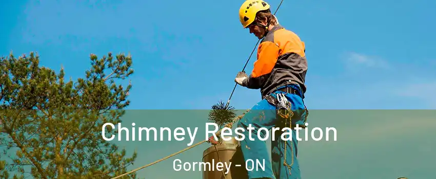  Chimney Restoration Gormley - ON