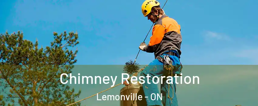  Chimney Restoration Lemonville - ON