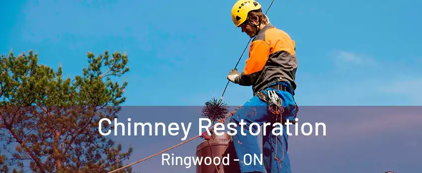  Chimney Restoration Ringwood - ON